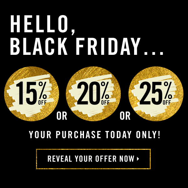 Forever 21 Black Friday Email campaign